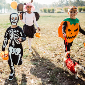 Multi ethnic group of children go for trick or treat, they running in park and wear costumes. Dog in costume is with them too